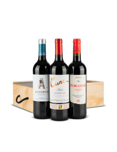 Cata de vinos I - Estuche 95
