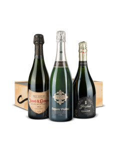 Bodega navideña II - Estuche 97