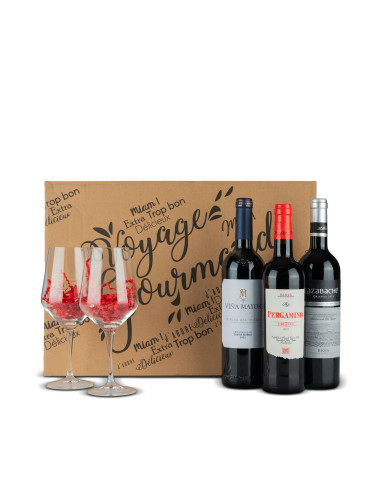Estuche 101 | Selección de Vinos Reserva con Decantador